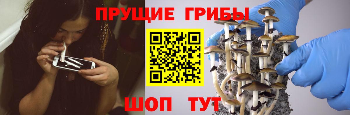 Галлюциногенные грибы Magic Shrooms  Вход с VPN  Майкоп 