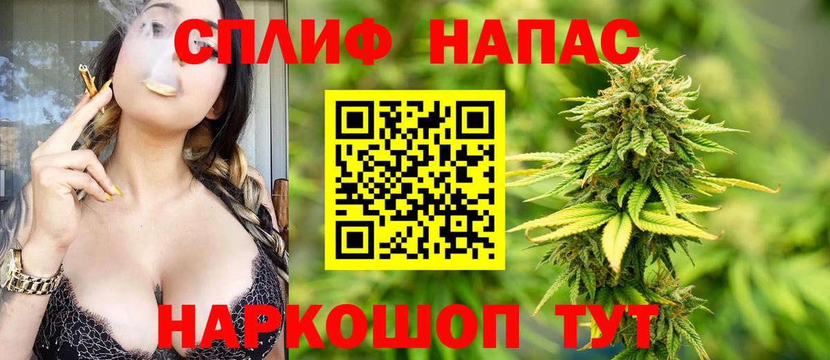 Шишки марихуана план  Вход с VPN  Конопля Amnesia  Бошки марихуана семена  Бошки марихуана ГИДРОПОН  Майкоп 